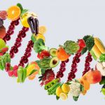 Global Conference on Nutrition and Food Sciences